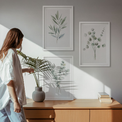 Juego de 3 cuadros Diseños de plantas con vegetación