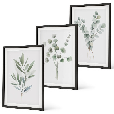 Juego de 3 cuadros Diseños de plantas con vegetación