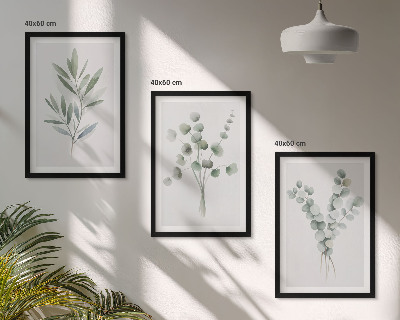 Juego de 3 cuadros Diseños de plantas con vegetación