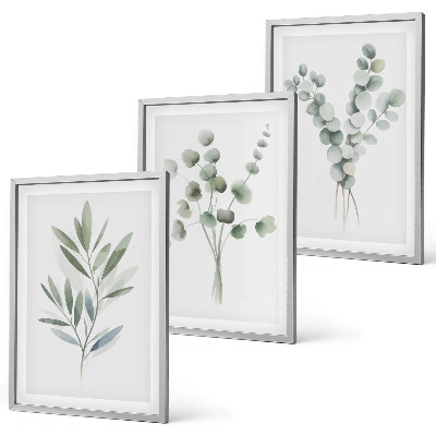 Juego de 3 cuadros Diseños de plantas con vegetación