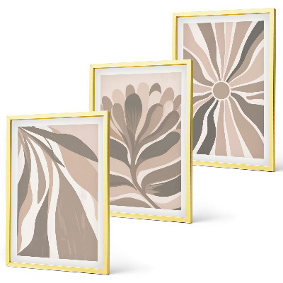 Set de 3 cuadros para salón Patrones abstractos de plantas