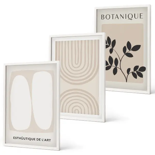 Juego de 3 cuadros con diseño de pósteres de plantas delicadas de estilo bohemio