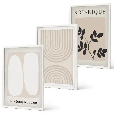 Juego de 3 cuadros con diseño de pósteres de plantas delicadas de estilo bohemio