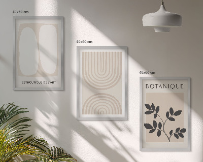 Juego de 3 cuadros Pósteres de plantas delicadas de estilo bohemio