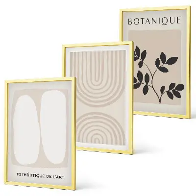 Juego de 3 cuadros con diseño de pósteres de plantas delicadas de estilo bohemio