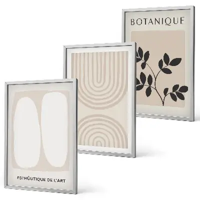 Juego de 3 cuadros con diseño de pósteres de plantas delicadas de estilo bohemio
