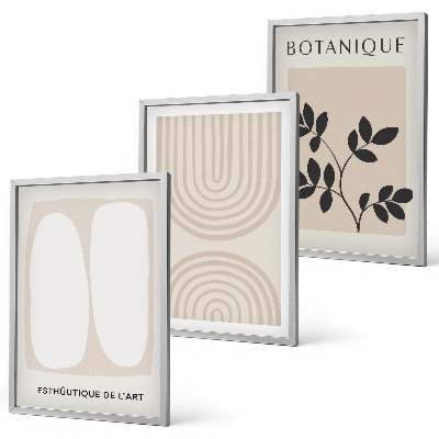 Juego de 3 cuadros Pósteres de plantas delicadas de estilo bohemio