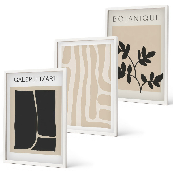 Set de 3 cuadros para salón Formas abstractas de plantas