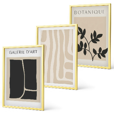 Set de 3 cuadros para salón Formas abstractas de plantas