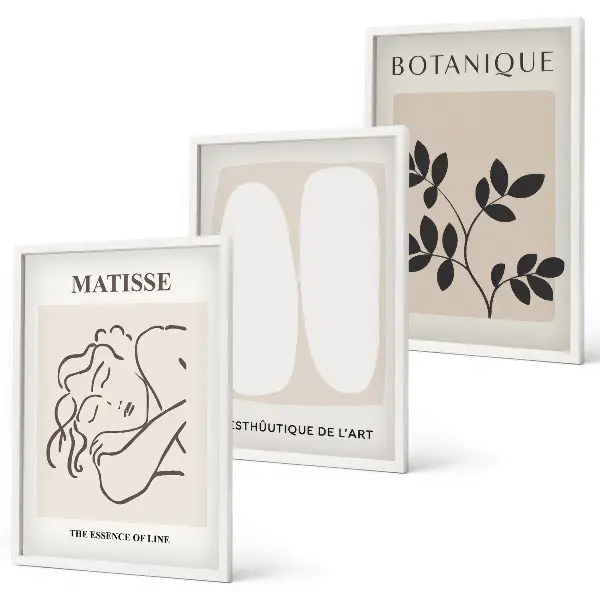 Set de 3 cuadros de plantas de Matisse decoración elegante para salón