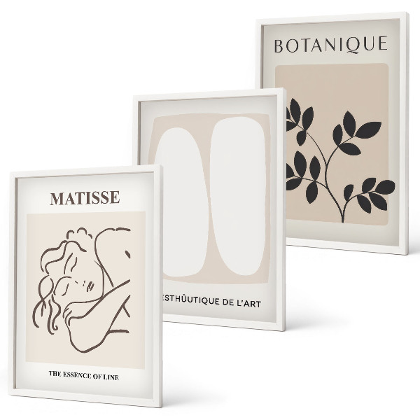 Set de 3 cuadros para salón Las elegantes pinturas de plantas de Matisse