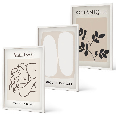 Set de 3 cuadros para salón Las elegantes pinturas de plantas de Matisse