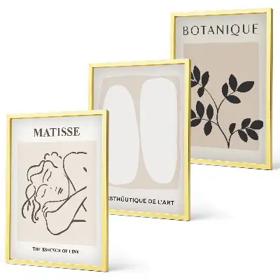 Set de 3 cuadros de plantas de Matisse decoración elegante para salón