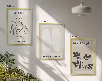 Set de 3 cuadros de plantas de Matisse decoración elegante para salón