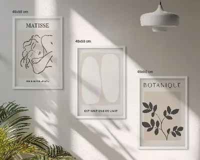 Set de 3 cuadros de plantas de Matisse decoración elegante para salón