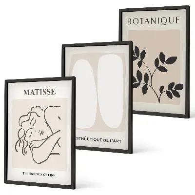 Set de 3 cuadros de plantas de Matisse decoración elegante para salón