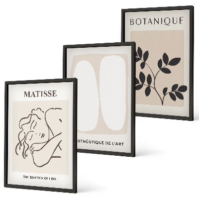 Set de 3 cuadros para salón Las elegantes pinturas de plantas de Matisse