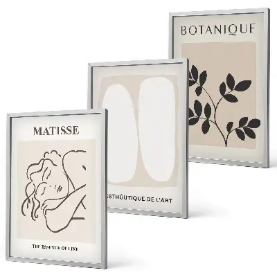 Set de 3 cuadros de plantas de Matisse decoración elegante para salón