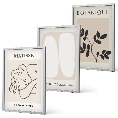 Set de 3 cuadros para salón Las elegantes pinturas de plantas de Matisse