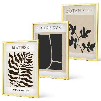 Juego de 3 cuadros Pósteres minimalistas de plantas