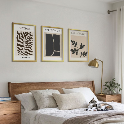 Juego de 3 cuadros Pósteres minimalistas de plantas