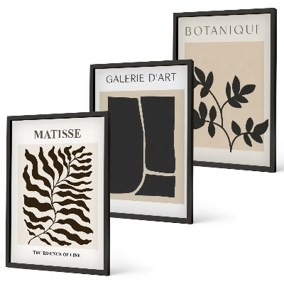 Juego de 3 cuadros Pósteres minimalistas de plantas
