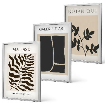 Juego de 3 cuadros Pósteres minimalistas de plantas