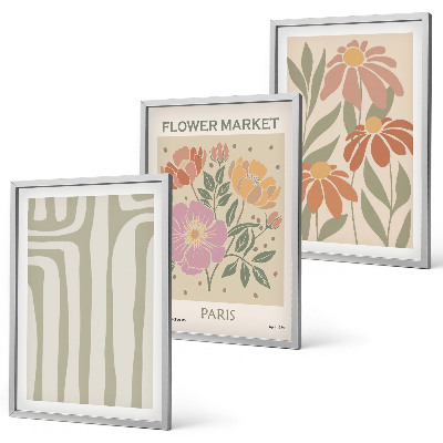 Set de 3 cuadros para salón Motivos botánicos, minimalismo parisino