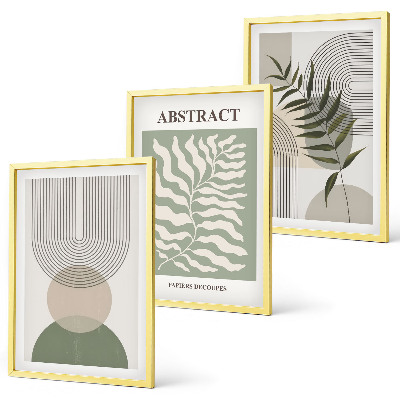 Juego de 3 cuadros Abstracciones botánicas bohemias