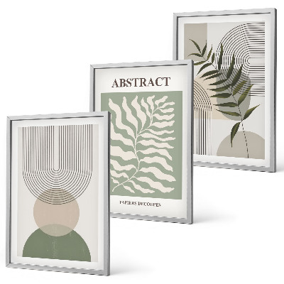 Juego de 3 cuadros Abstracciones botánicas bohemias