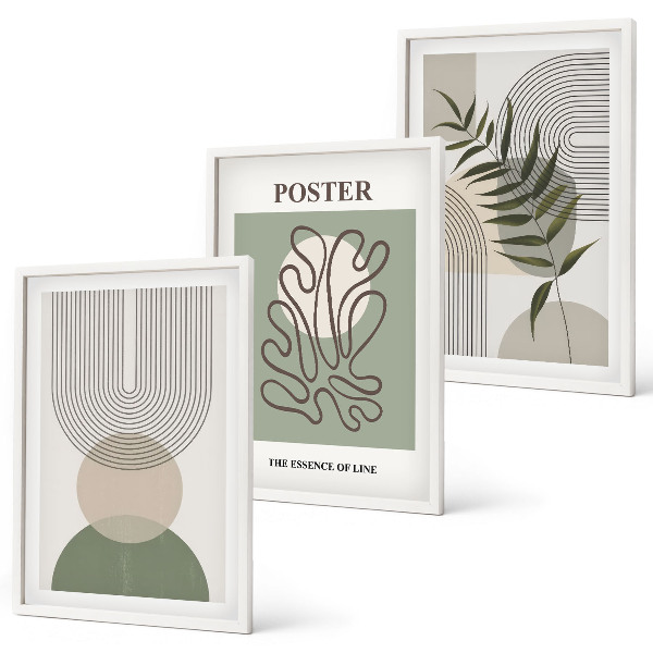 Set de 3 cuadros para salón patrones botánicos geométricos