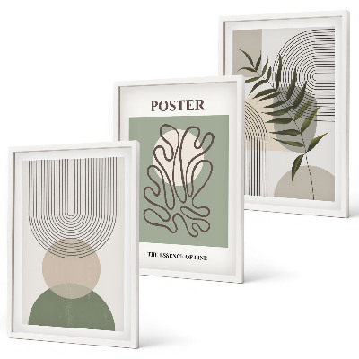 Set de 3 cuadros para salón patrones botánicos geométricos