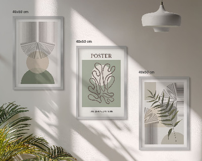 Set de 3 cuadros para salón patrones botánicos geométricos