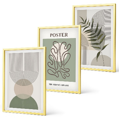 Set de 3 cuadros para salón patrones botánicos geométricos