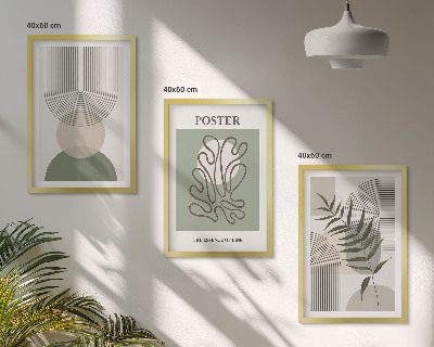 Set de 3 cuadros para salón patrones botánicos geométricos
