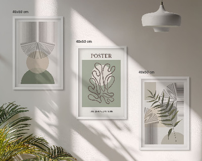 Set de 3 cuadros para salón patrones botánicos geométricos