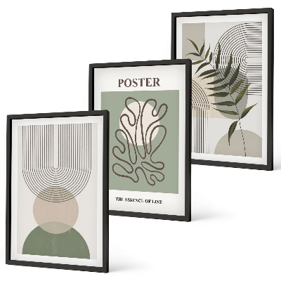 Set de 3 cuadros para salón patrones botánicos geométricos