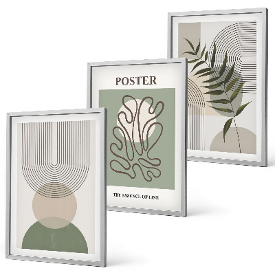 Set de 3 cuadros para salón patrones botánicos geométricos
