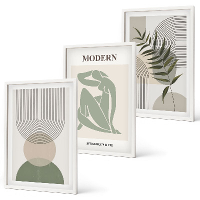 Juego de 3 cuadros Gráficos de plantas con estilo