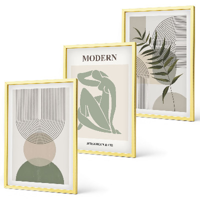 Juego de 3 cuadros Gráficos de plantas con estilo