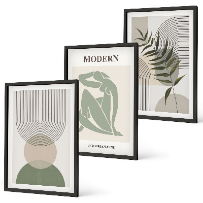 Juego de 3 cuadros Gráficos de plantas con estilo