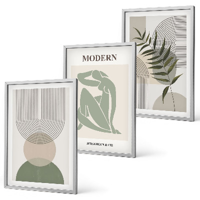 Juego de 3 cuadros Gráficos de plantas con estilo