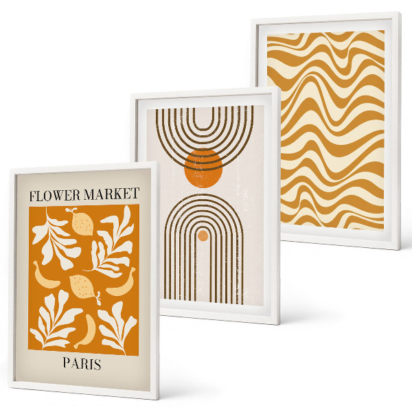 Set de 3 cuadros para salón Pósteres con estampados geométricos de plantas
