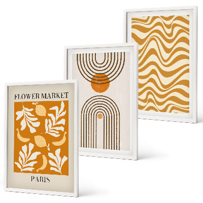 Set de 3 cuadros para salón Pósteres con estampados geométricos de plantas