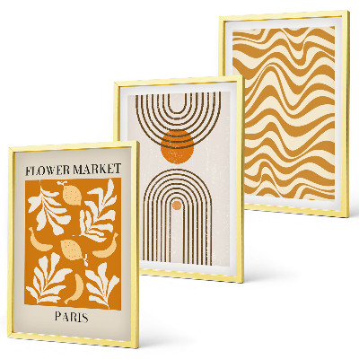 Set de 3 cuadros para salón Pósteres con estampados geométricos de plantas