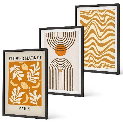 Set de 3 cuadros para salón Pósteres con estampados geométricos de plantas