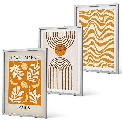 Set de 3 cuadros para salón Pósteres con estampados geométricos de plantas