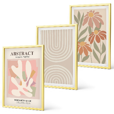 Juego de 3 cuadros Formas abstractas de plantas