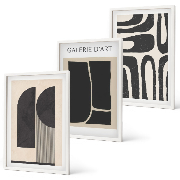 Set de 3 cuadros para salón Pósteres minimalistas abstractos
