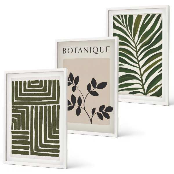 Juego de 3 cuadros Minimalismo bohemio botánico